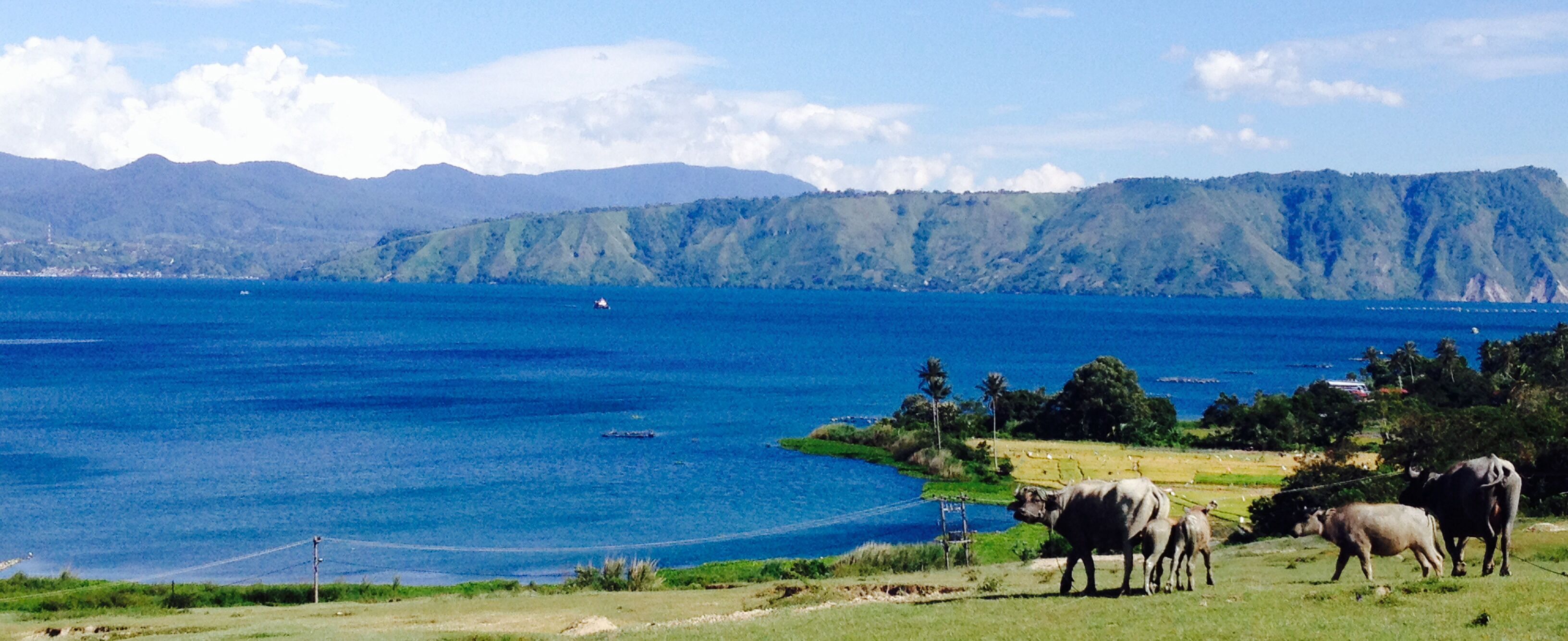 Lake Toba Adventure Cruise Tour: Exciting Expeditions on the Lake's Waters