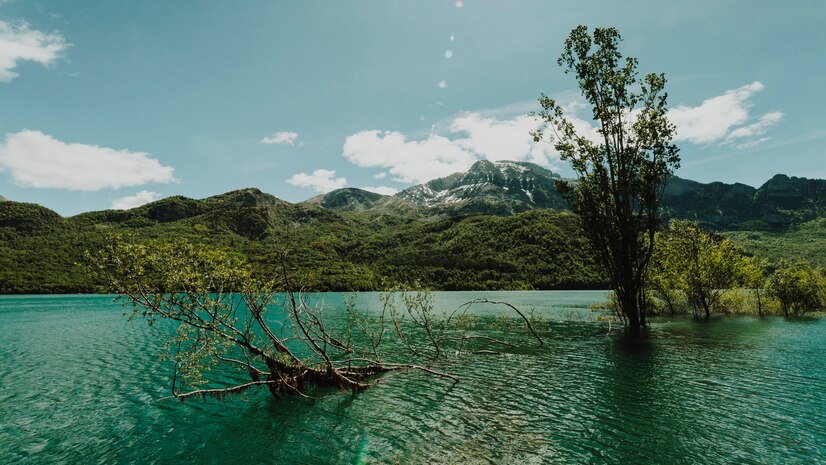 Planning Your Honeymoon? Experience the Magic of Lake Toba!