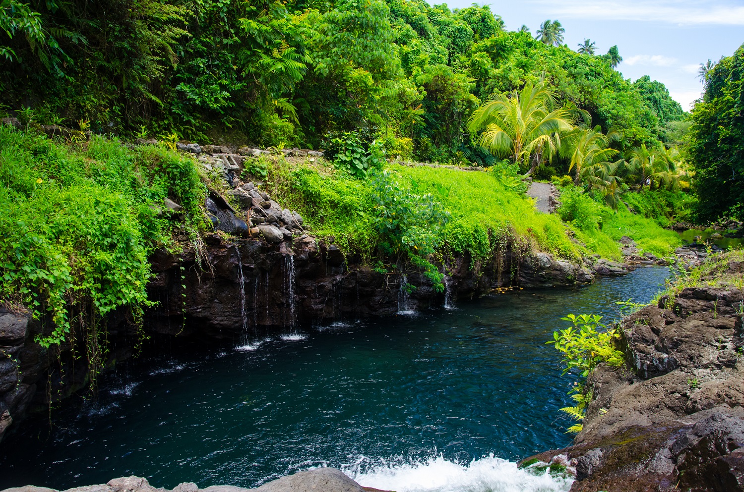 Planning Your Dream Vacation: Lake Toba Tour Travel Tips and Tricks